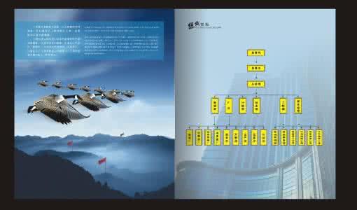 广告策划公司